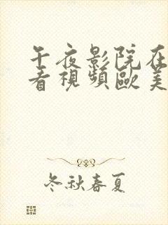 午夜影院在线观看视频欧美激情