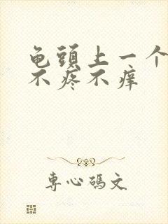 龟头上一个红点不疼不痒