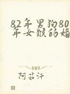 82年男狗80年女猴的婚姻怎么样封面