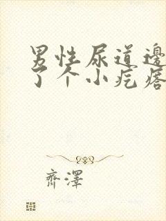 男性尿道边上长了个小疙瘩