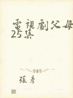 电视剧父母爱情25集