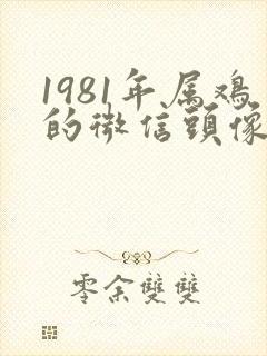 1981年属鸡的微信头像用什么比较好