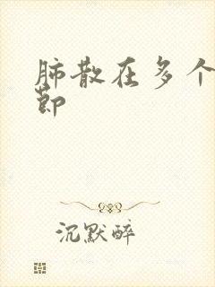 肺散在多个小结节