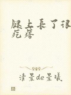 腿上长了很多小疙瘩