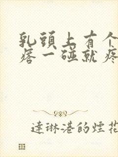 乳头上有个小疙瘩一碰就疼痛封面