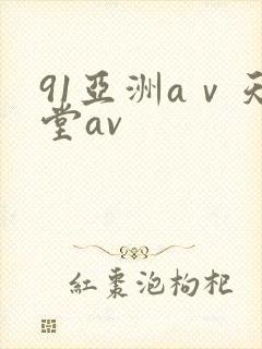 91亚洲aⅴ天堂av