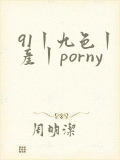 91丨九色丨国产丨porny