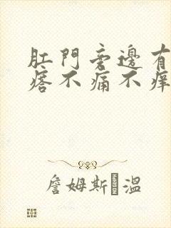 肛门旁边有硬疙瘩不痛不痒封面