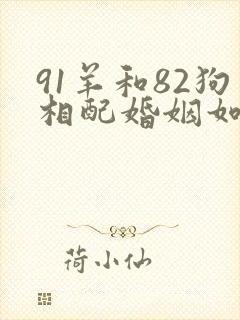 91羊和82狗相配婚姻如何