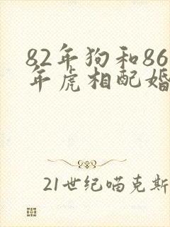 82年狗和86年虎相配婚姻如何
