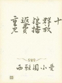 重返狼群十周年免费播放封面