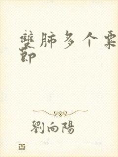 双肺多个粟粒结节