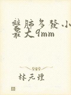 双肺多发小结节最大9mm