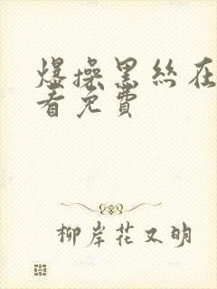 爆操黑丝在线观看免费