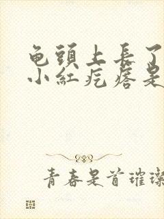 龟头上长了一个小红疙瘩是怎么回事封面