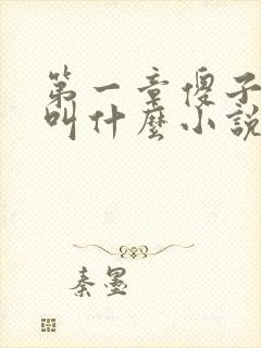 第一章傻子少爷叫什么小说