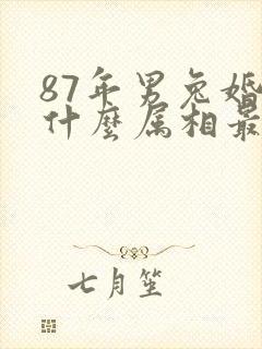 87年男兔婚配什么属相最佳