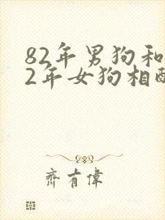 82年男狗和82年女狗相配婚姻如何