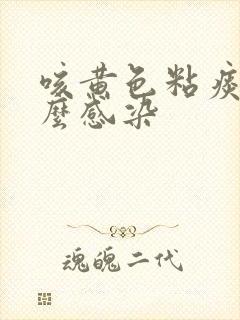 咳黄色粘痰是什么感染