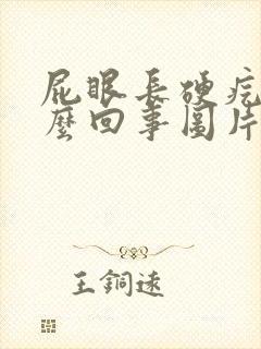 屁眼长硬疙瘩怎么回事图片