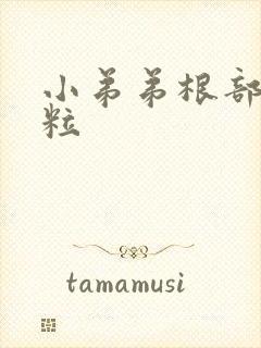 小弟弟根部小肉粒