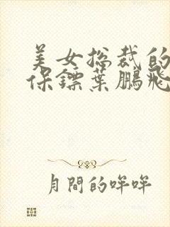 美女总裁的贴身保镖叶鹏飞无弹窗