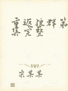 重返狼群第12集完整