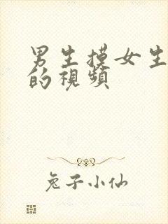 男生摸女生的胸的视频