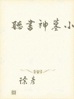 听书神墓小说