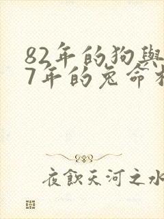 82年的狗与87年的兔命相配吗