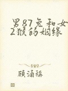 男87兔和女92猴的姻缘