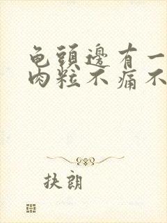 龟头边有一圈小肉粒不痛不痒