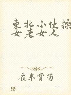 东北小伙搡老熟女老女人