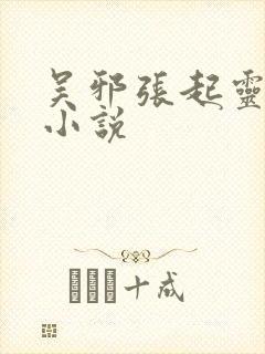 吴邪张起灵cp小说