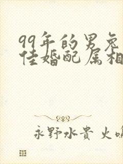 99年的男兔最佳婚配属相