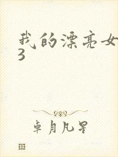 我的漂亮女房东3