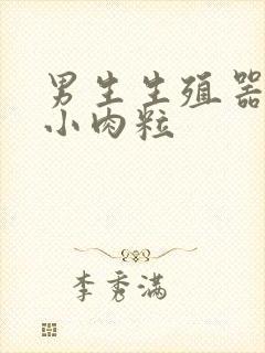 男生生殖器上长小肉粒