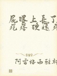 屁眼上长了一个疙瘩 硬还疼封面