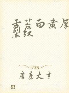 舌苔白黄厚腻有裂纹