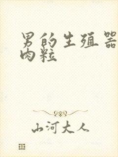 男的生殖器长小肉粒封面