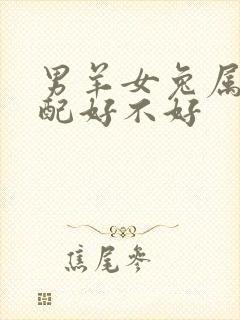 男羊女兔属相婚配好不好封面