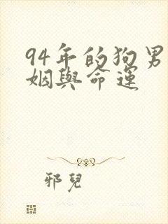 94年的狗男婚姻与命运