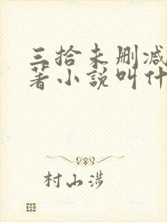 三拾未删减版原著小说叫什么