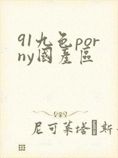 91九色porny国产区封面
