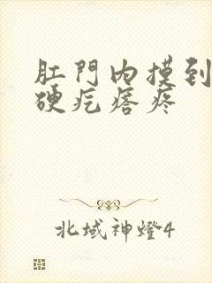 肛门内摸到一个硬疙瘩疼