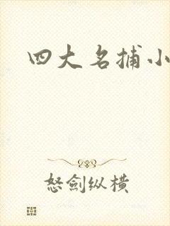 四大名捕小说