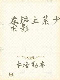 左肺上叶少许条索影