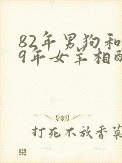 82年男狗和79年女羊相配婚姻如何封面