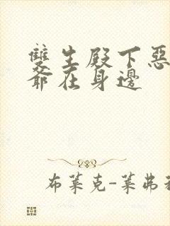 双生殿下恶魔少爷在身边