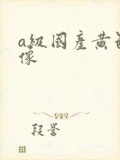 a级国产黄色录像